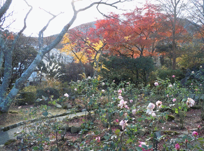 c0083817_1945820.gif