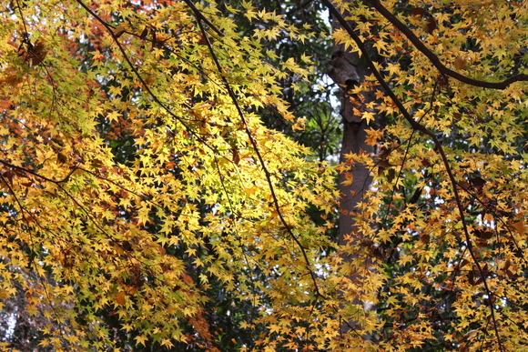 f0162319_23273459.jpg