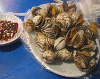 e0201021_0522325.jpg