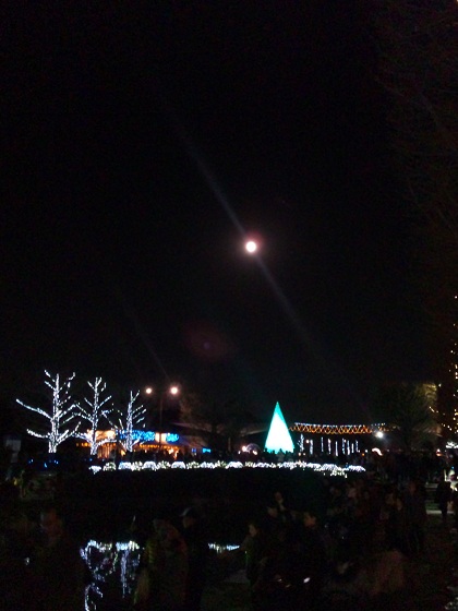 b0199924_11202217.jpg