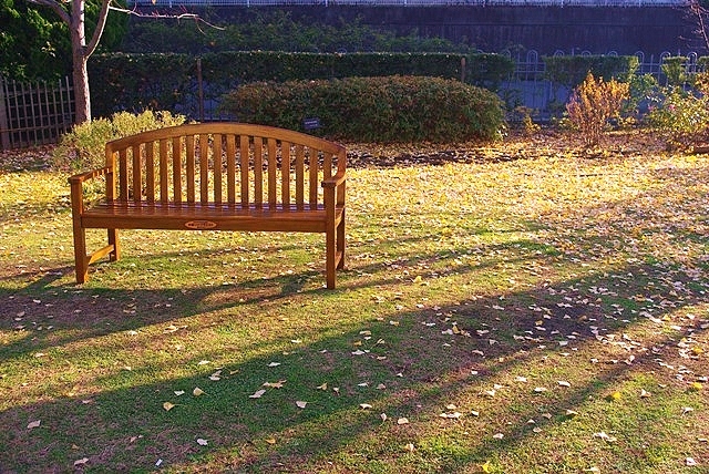d0218238_1515532.jpg