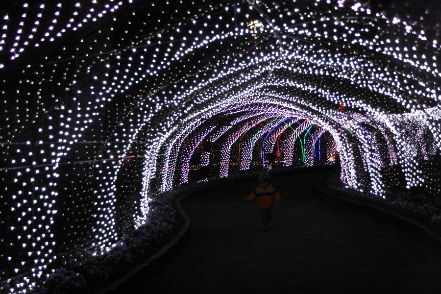d0247340_16584558.jpg