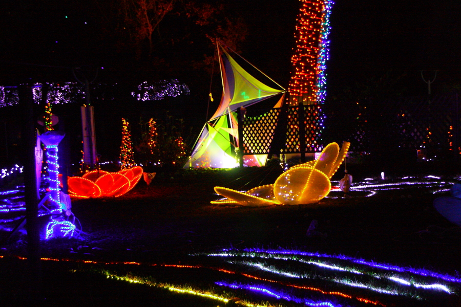 d0247340_1702022.jpg
