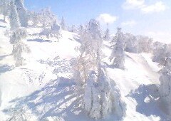 e0007242_14461556.jpg