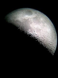 e0007242_1451285.jpg