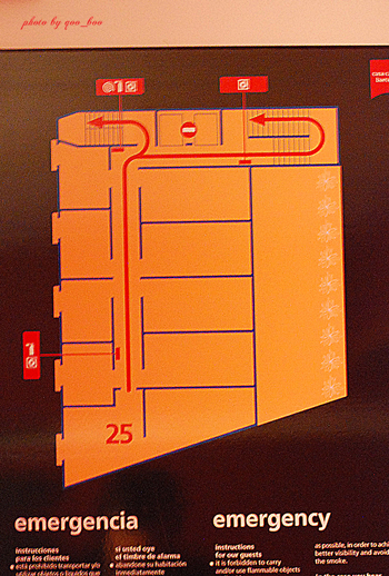 d0160946_885333.jpg