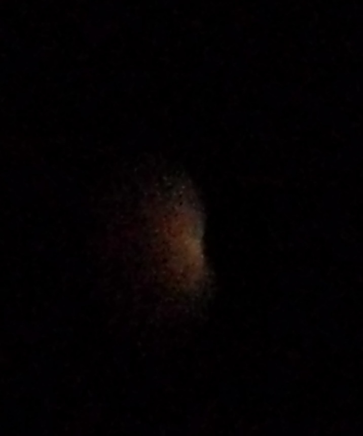b0232447_110929.jpg