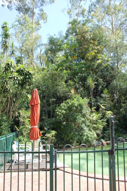 e0033248_9175979.jpg