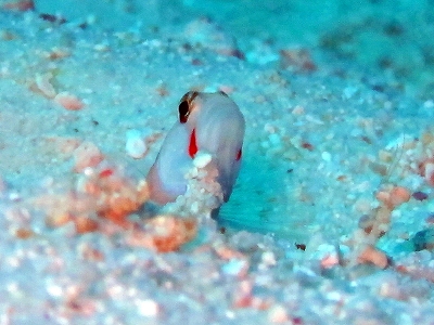 f0176156_13433673.jpg