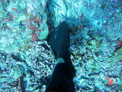 f0176156_13442587.jpg
