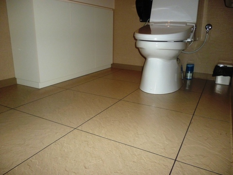 d0162564_1259145.jpg