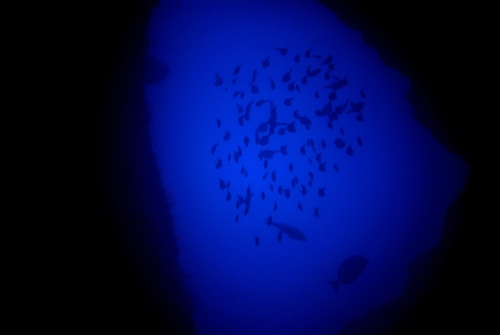 c0181073_21443944.jpg