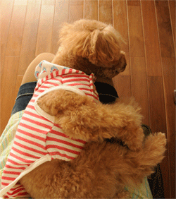 c0196673_20505831.gif