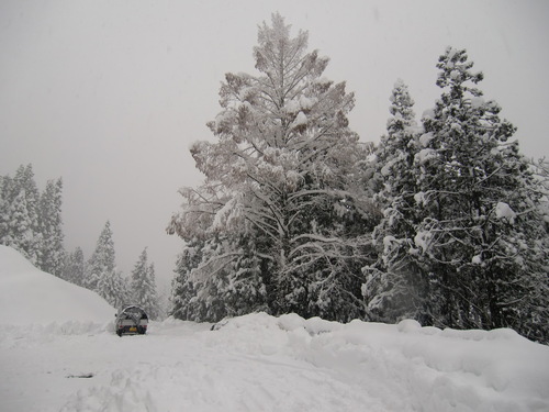 f0225473_2140486.jpg