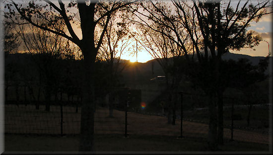 e0099375_804154.jpg