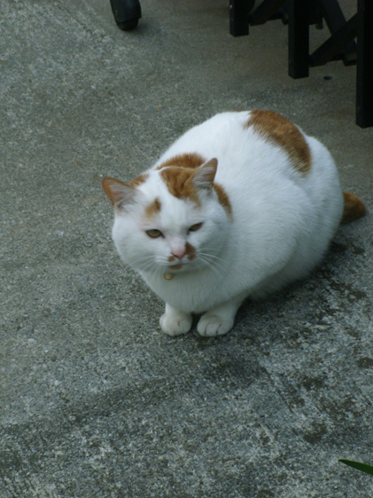 e0112077_775454.jpg