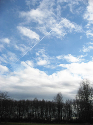 d0114280_8445135.jpg