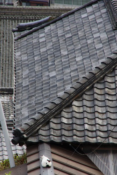 a0189883_118755.jpg