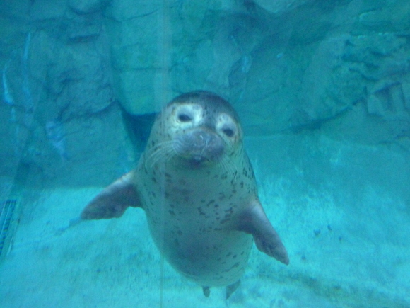 d0238083_23254155.jpg