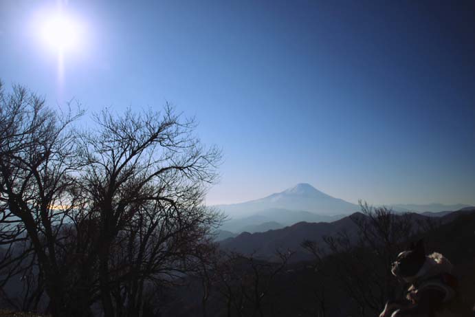 d0151787_171264.jpg