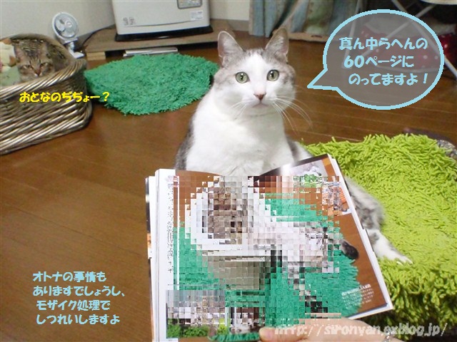 a0159490_12235059.jpg