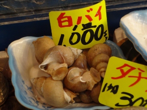 e0137390_20401440.jpg