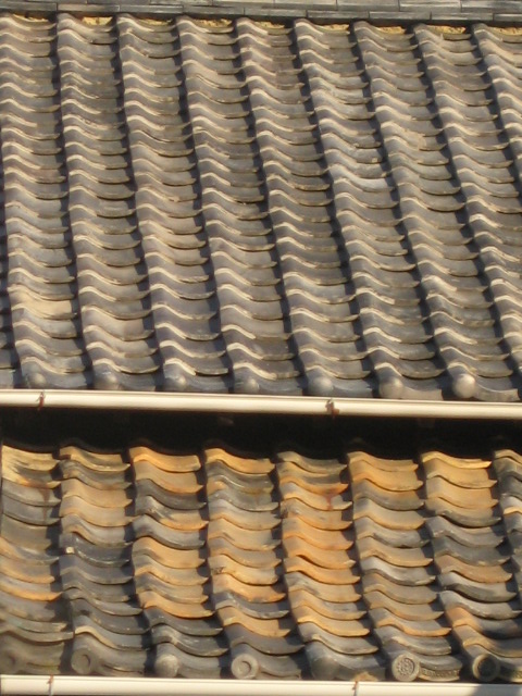 a0193698_2012401.jpg