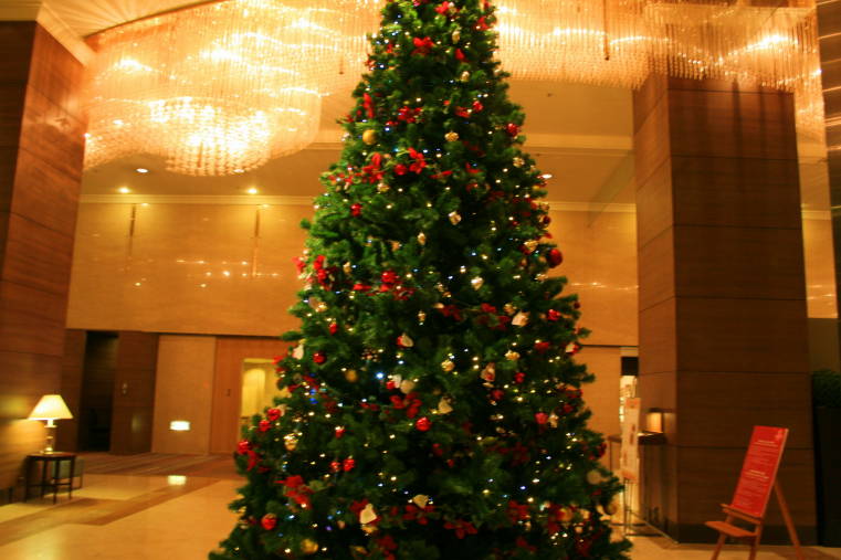 f0031304_741845.jpg