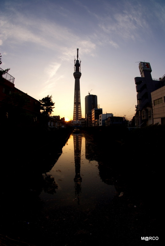 c0037611_22485915.jpg