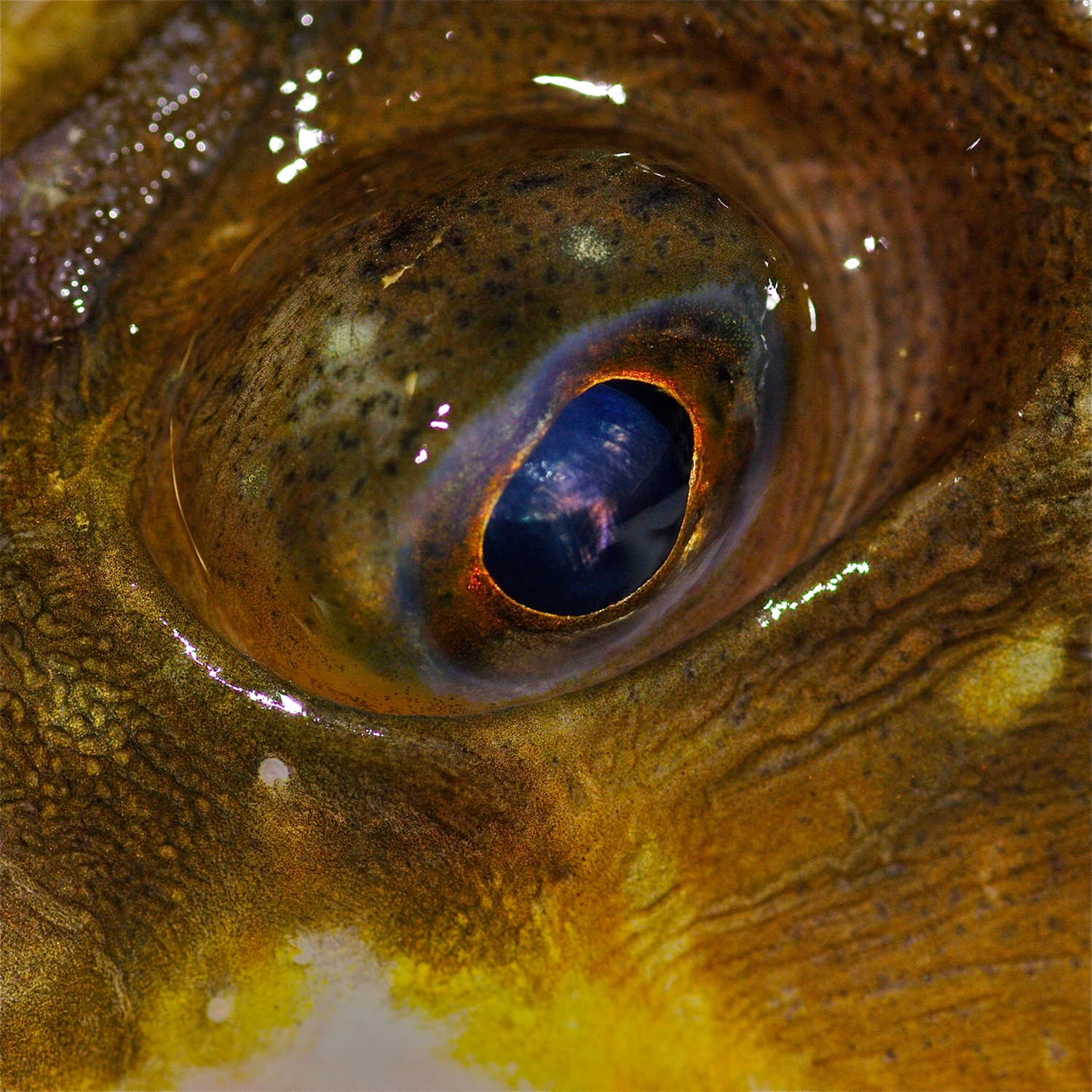 e0142611_22275922.jpg