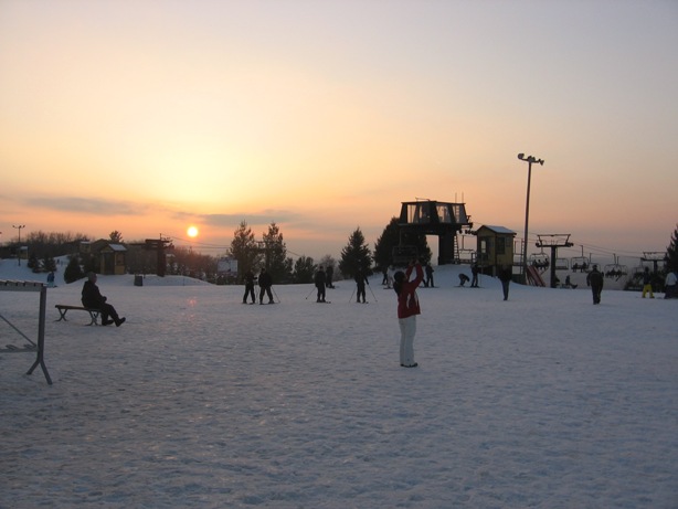 f0127915_4513943.jpg
