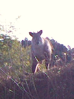 f0036716_2201573.jpg