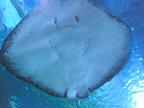 a0214919_23325269.jpg