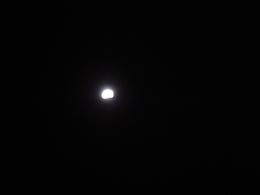 d0049221_22233344.jpg