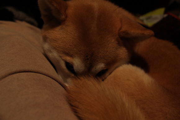 e0227023_20301537.jpg
