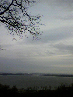 f0036223_734374.jpg