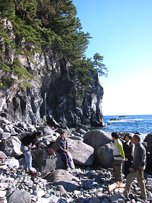d0023725_1747619.jpg