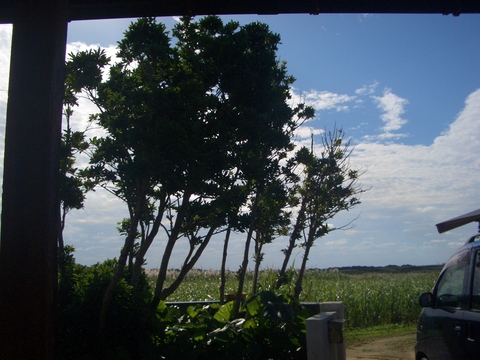 f0197325_8191296.jpg