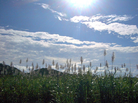 f0197325_8211873.jpg