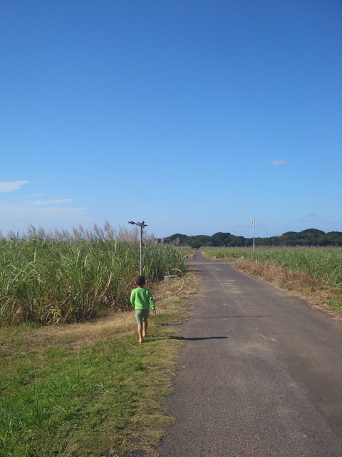 f0197325_8224113.jpg