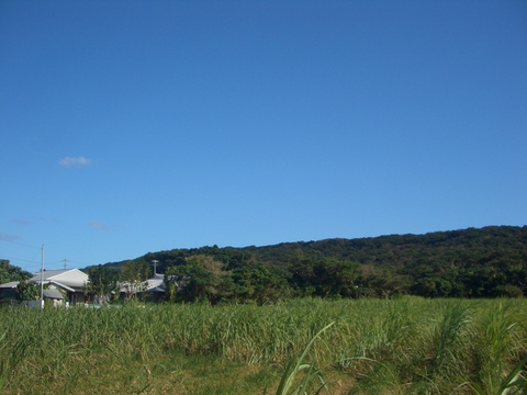 f0197325_8293519.jpg