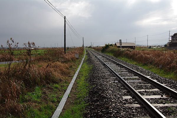 f0007926_1438319.jpg