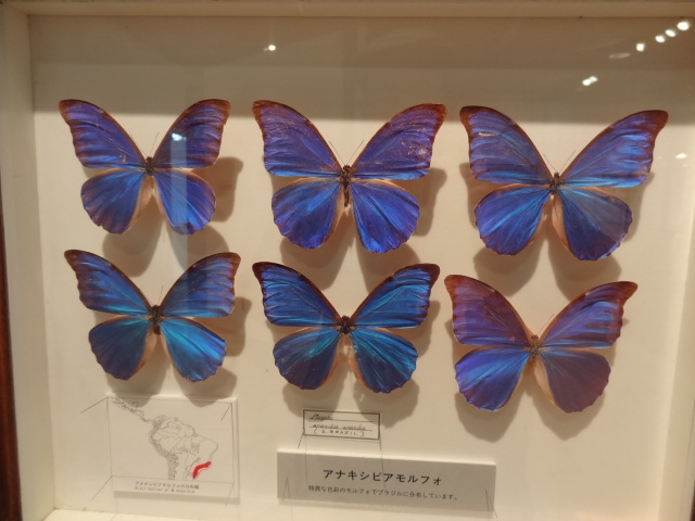 e0016828_1324883.jpg