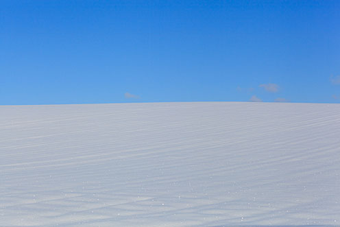 e0025030_106726.jpg