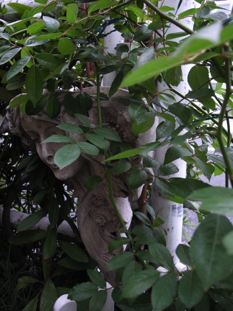 a0087341_015416.jpg