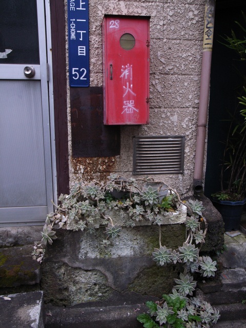 a0087341_01872.jpg