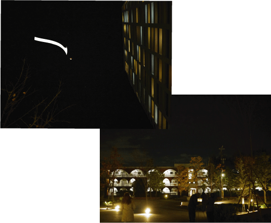 b0182846_16305524.gif
