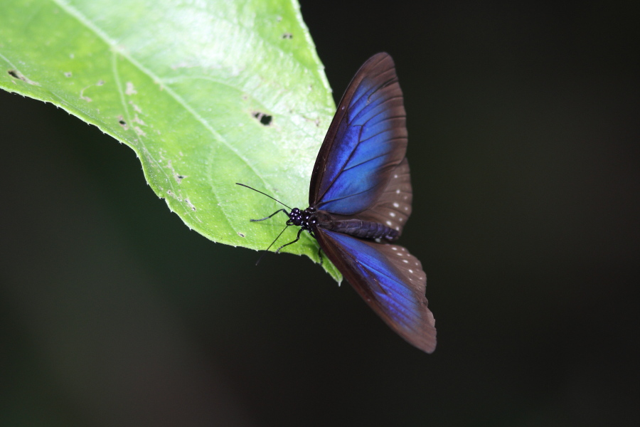 a0094850_21344316.jpg