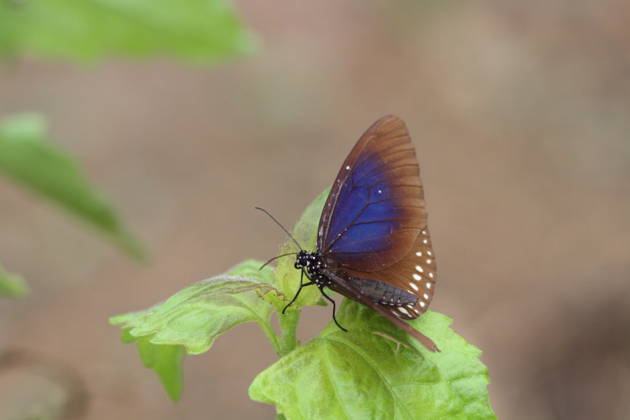 a0094850_2136355.jpg