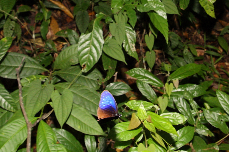 a0094850_21531639.jpg